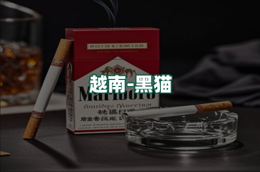 越南黑猫